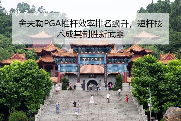 she-fu-lei-tui-gan-xiao-lv-pai-ming-biao-sheng-duan-gan-ji-shu-cheng-qi-zhi-sheng-xin-wu-qi-2-517.jpg