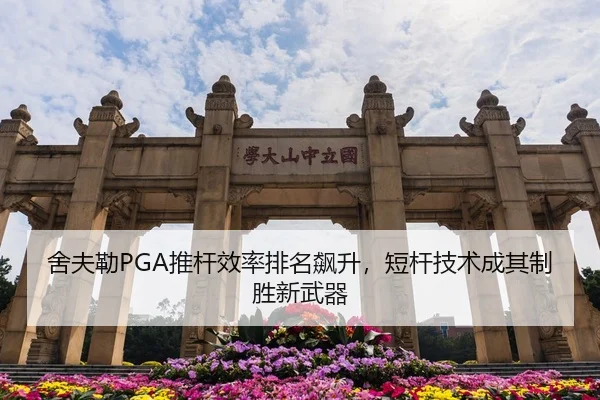 she-fu-lei-tui-gan-xiao-lv-pai-ming-biao-sheng-duan-gan-ji-shu-cheng-qi-zhi-sheng-xin-wu-qi-3-983.jpg