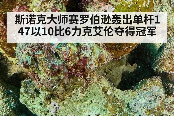 斯诺克大师赛罗伯逊轰出单杆147以10比6力克艾伦夺得冠军